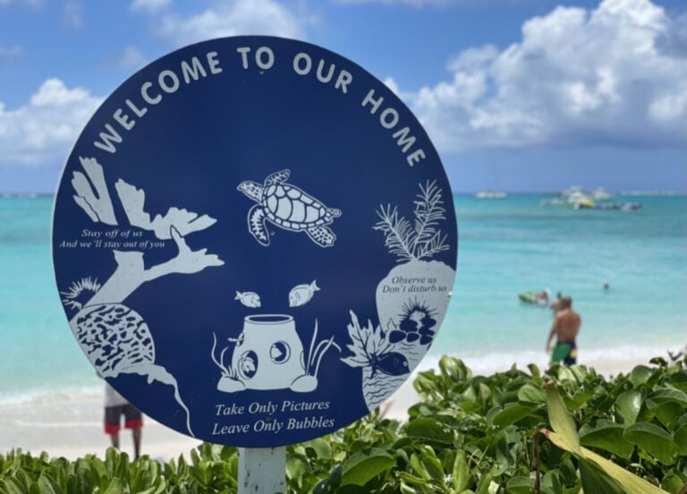 12 Tips to Travel More Sustainably